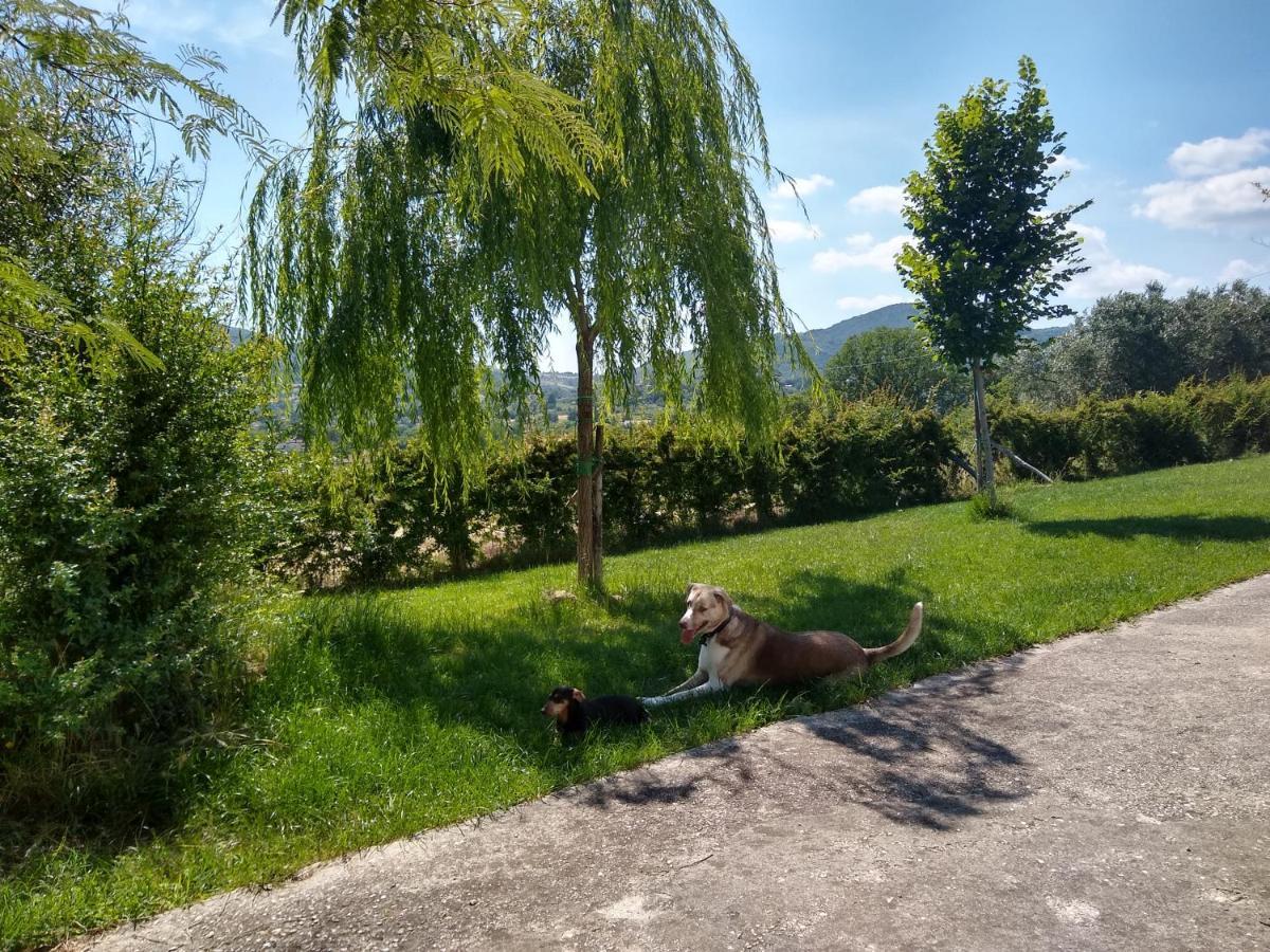 Le Piracante Caiazzo Экстерьер фото